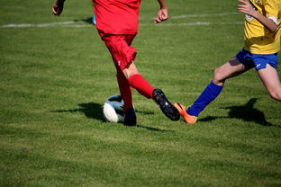 开云官网登录-国际足球联合会宣布新一届国家队排名，排名持续变化，国际足联球队排名表