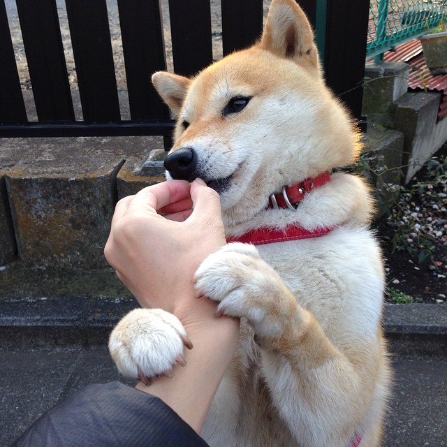 开云官网在线-《2025英雄联盟全球总决赛，战火再燃，精彩无限》，20年lol全球总决赛