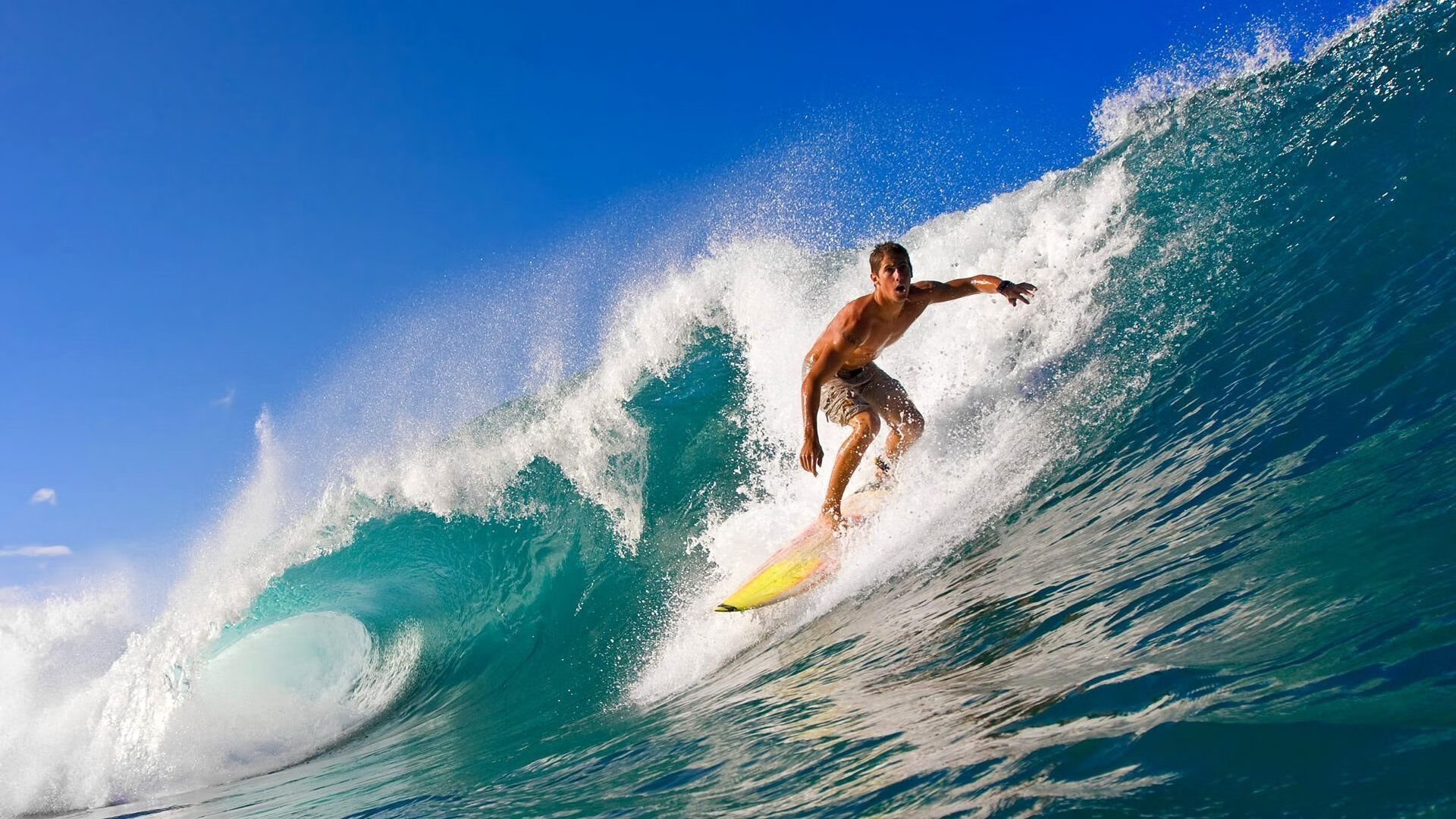 开云体育APP下载-美洲杯的媒体报道互动效果，美洲杯宣传视频